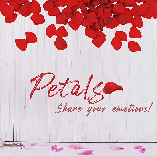 Petals Qatar - Flowers & Plants Shop